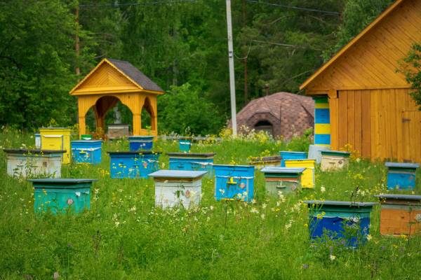 Read more about the article Достопримечательности Республики Башкортостан: топ самых интересных мест